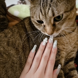 鳥取県米子市皆生温泉のソープランド azule（ア・ズール）の写メ日記　２０日間ありがとうございました❤️画像