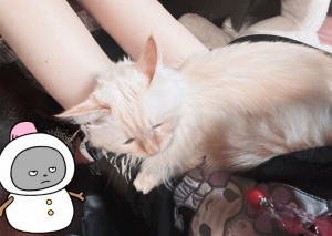 鳥取県米子市皆生温泉のソープランド azule（ア・ズール）の写メ日記　黒じゃない日だって！画像